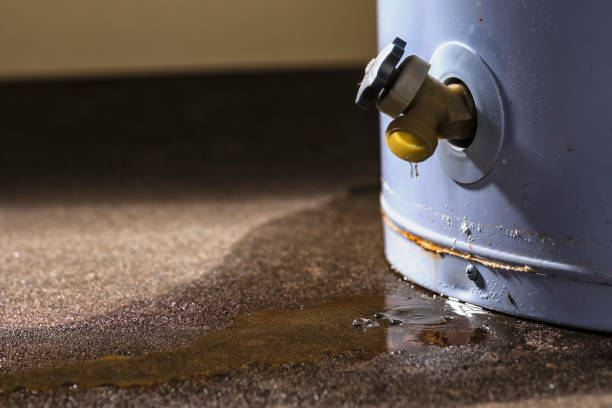 Best Flood restoration services  in Wright, FL