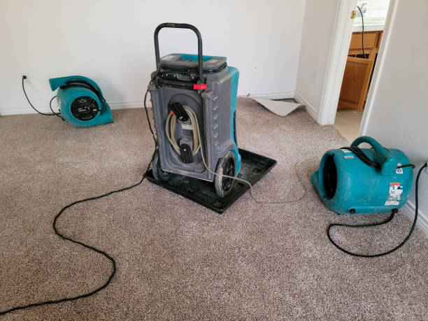 Best Water damage cleanup near me  in Wright, FL