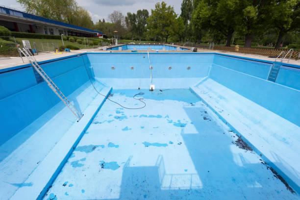 Best Mold removal after water damage  in Wright, FL