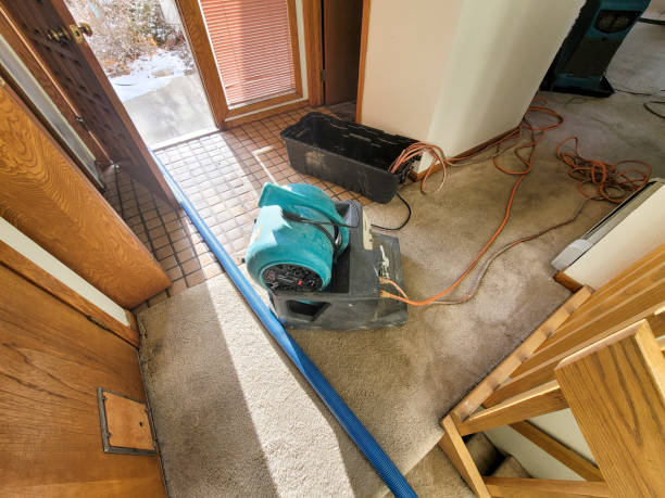 Best 24-hour water damage restoration  in Wright, FL