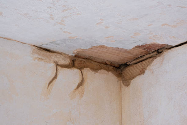 Best Fire Damage Restoration  in Wright, FL