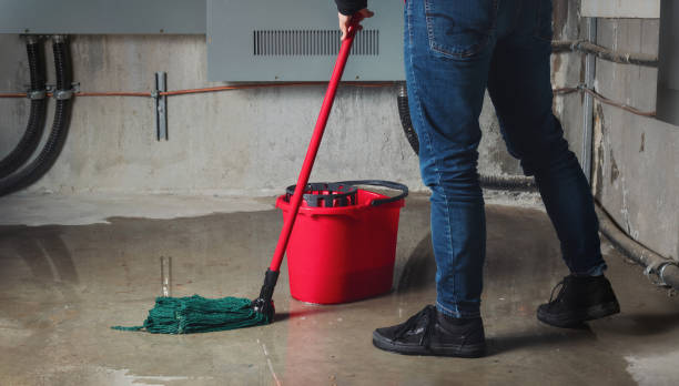 Best Professional water damage repair  in Wright, FL