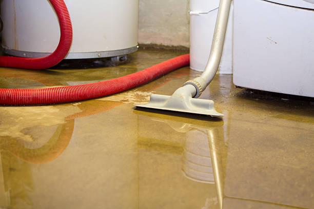 Trusted FL Water damage restoration Experts