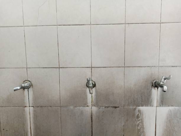 Best Local water damage restoration  in Wright, FL
