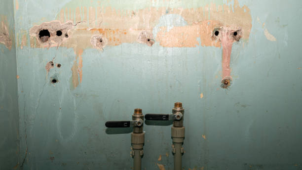Best Ceiling water damage repair  in Wright, FL