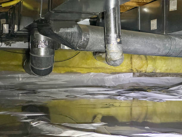 Best Local water damage restoration  in Wright, FL
