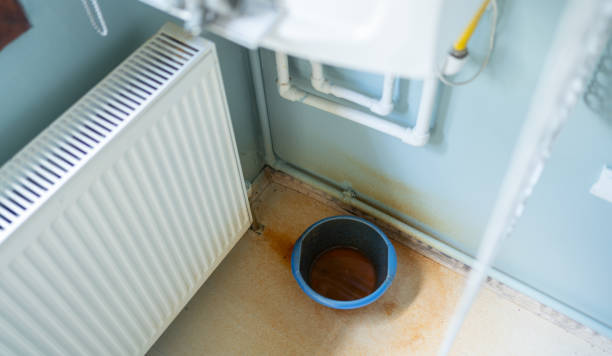 Best Mold removal after water damage  in Wright, FL