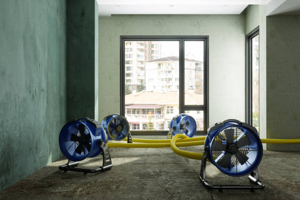 Carpet water damage restoration in FL