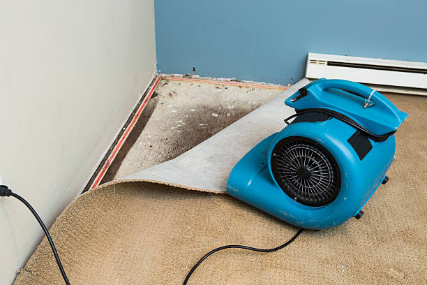  Wright, FL Water damage restoration Pros